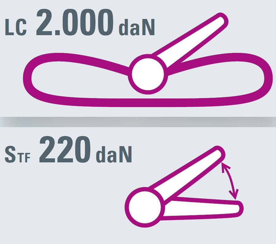SAFETEX Zurrgurt „Blackline“ mit Druckratsche (WLL 2.000kg | 1-teilig | 35,0mm Bandbreite | Länge 6,00m) – schwarz
