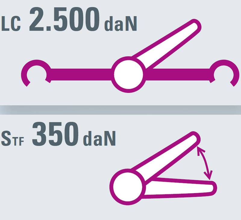SAFETEX Zurrgurt „Blackline“ mit Druckratsche & Spitzhaken (WLL 2.500kg | 2-teilig | 50,0mm Bandbreite | Länge 2,00m) –
