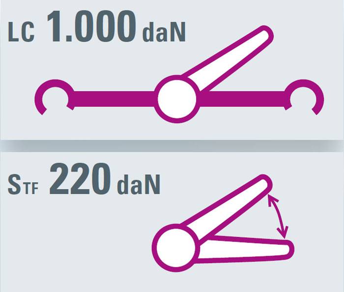 SAFETEX Zurrgurt „Blackline“ mit Druckratsche & Spitzhaken (WLL 1.000kg | 2-teilig | 35,0mm Bandbreite | Länge 6,00m) –