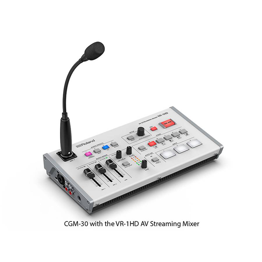 ROLAND CGM-30 - Kondensatormikrofon mit XLR-Ausgang und ausrichtbarem Schwanenhals (Länge: 30cm) - in schwarz