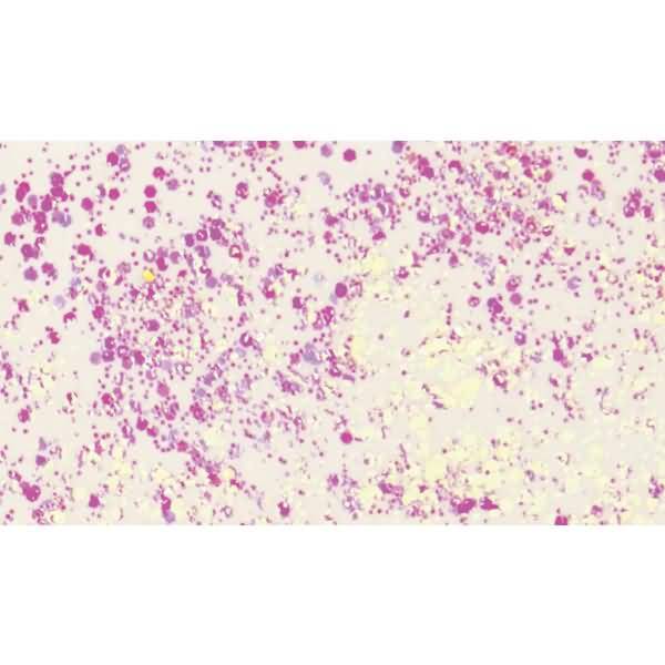 Glitzerfarbe Flaky Glue 50ml weiß