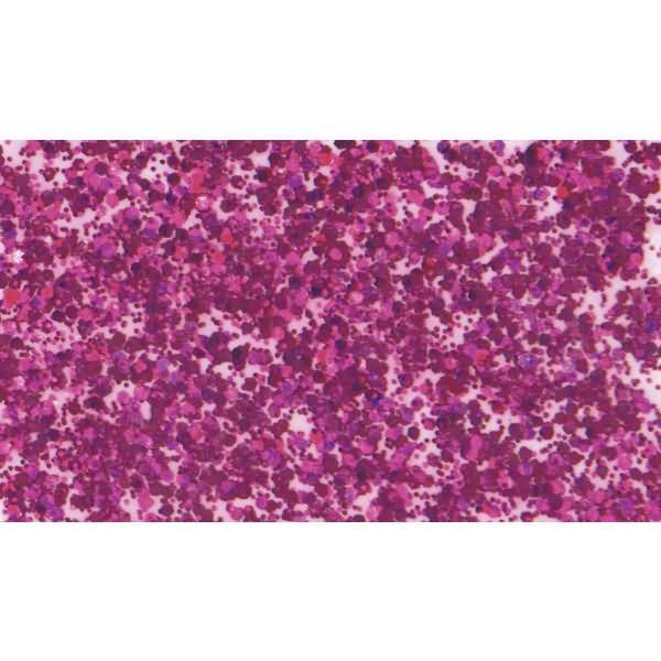Glitzerfarbe Flaky Glue 50ml pink