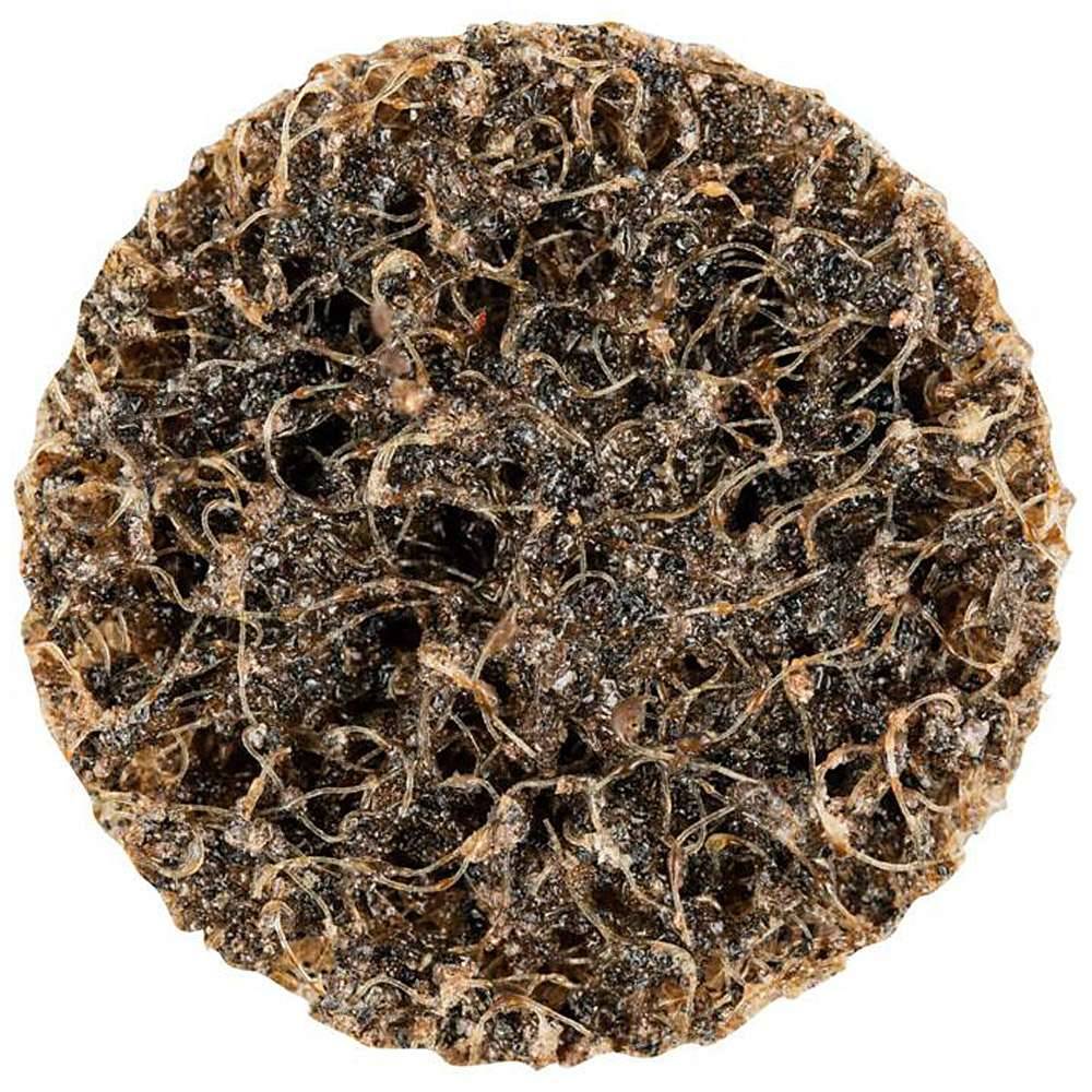 Schleifvlies - PFERD COMBIDISC® - Korund - harte Ausführung - Aufspannsystem CD - Bezeichnung CD VRH 25 A 100 G - Durchmesser 25 mm - Korngröße 10