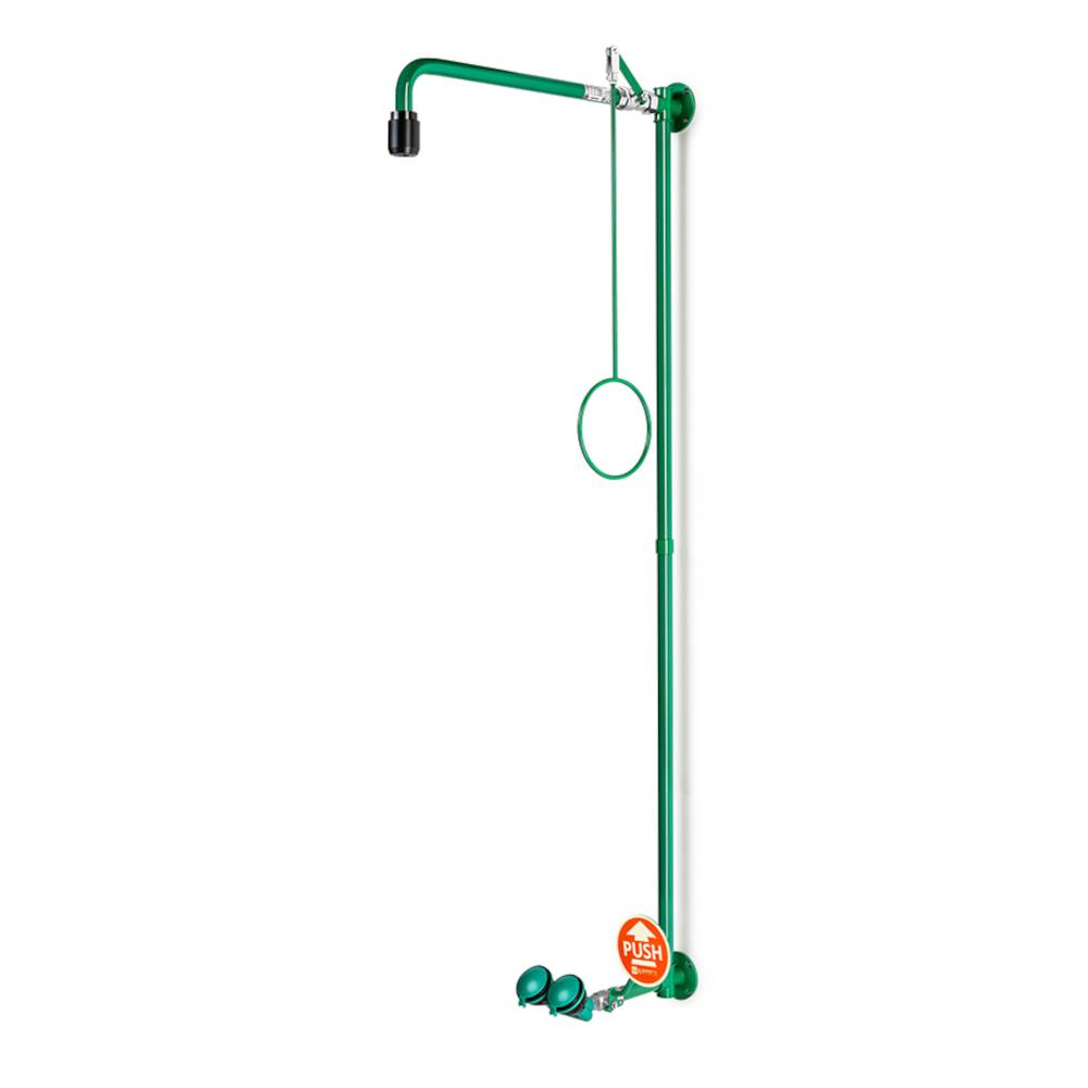 Notduschkombination - ClassicLine - Edelstahl pulverbeschichtet grün - mit Sicherheits-Augendusche - für Wandmontage Aufputz