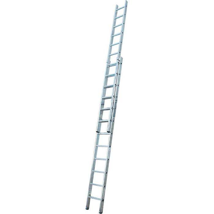 Eine silberne Aluminium-Anlegeleiter, die aufrecht auf weißem Hintergrund steht.