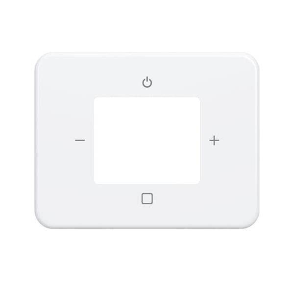 Busch-Jaeger Zentralscheibe 8252-24G-101