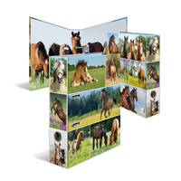 Collage von Pferdefotos in einem 3D-Block angeordnet, zeigt Pferde auf Weiden, Nahaufnahmen und Reitszenen.
