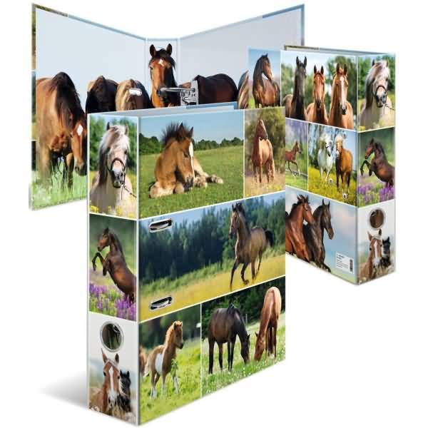3D-Collage von Pferdefotos auf Ordnern oder Boxen, die mehrere Pferde zeigt, die auf Feldern und in Wäldern grasen, laufen und stehen.