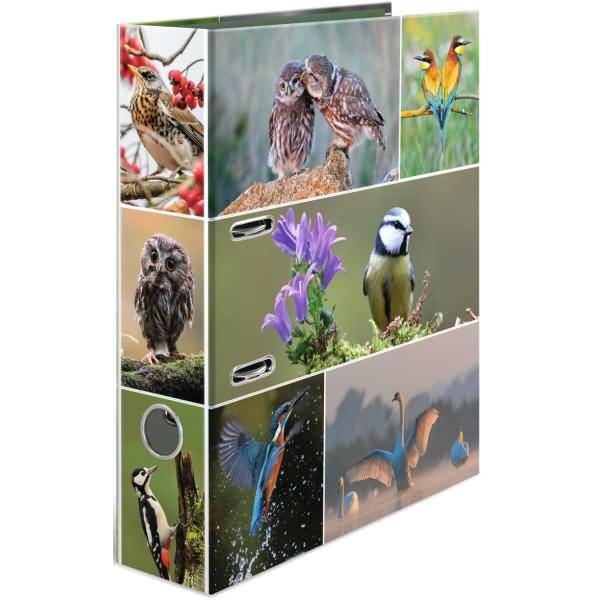 Vogelthema-Fotoalbum-Cover mit mehreren Wildtierbildern, darunter Eulen, Singvögel, einen Eisvogel und Flamingos.