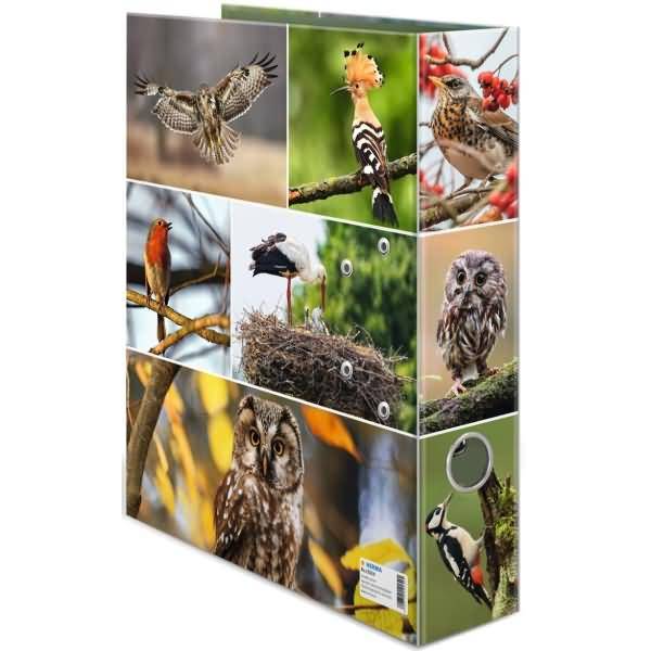Collage aus sieben Vogelfotos auf einer 3D-Box mit Eulen, Spechten, einem Wiedehopf und anderen Vögeln in natürlicher Umgebung.