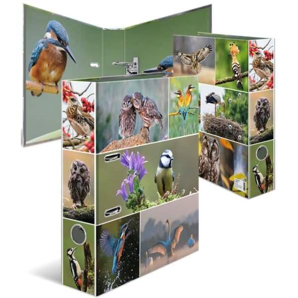 Collage aus drei aufrecht stehenden Präsentationsmappen, bedruckt mit Wildtierfotografien, darunter Vögel, Eulen, Blumen und Enten.