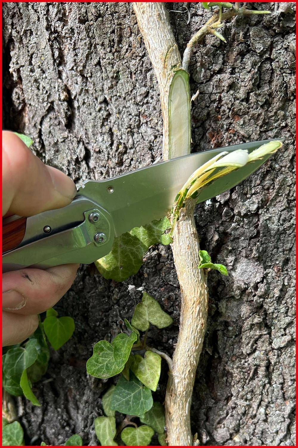 KS TOOLS Klappmesser mit Arretierung, 220,0mm