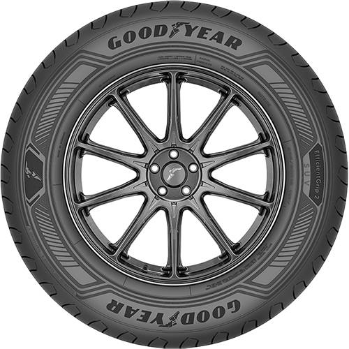 GOODYEAR Sommerreifen 225/60 R18 TL 100H EFFICIENTGRIP 2 SUV XL