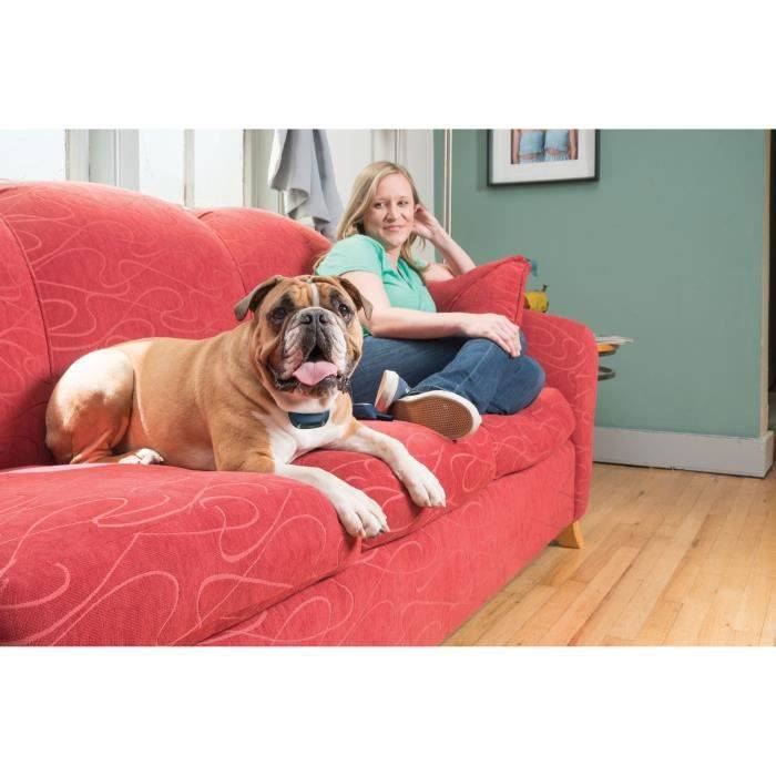 Bildungsunterstützungssystem 600 m²