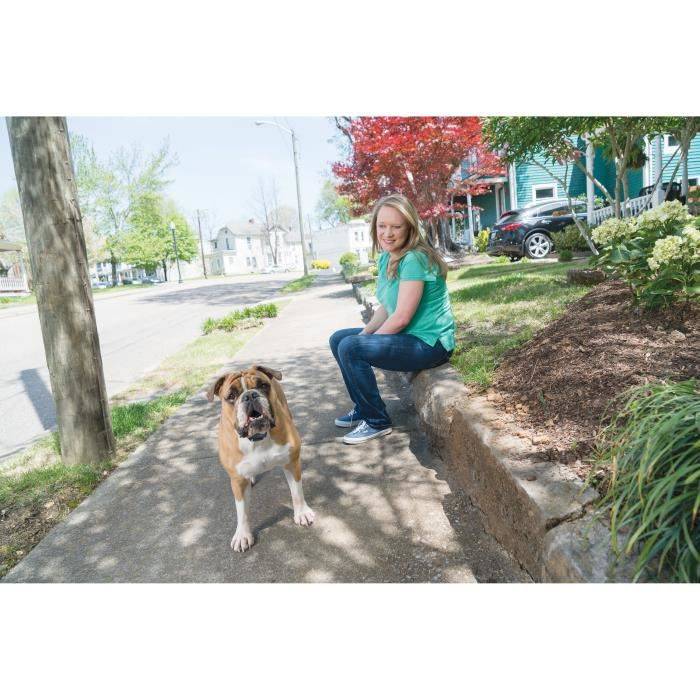 Bildungsunterstützungssystem 600 m²