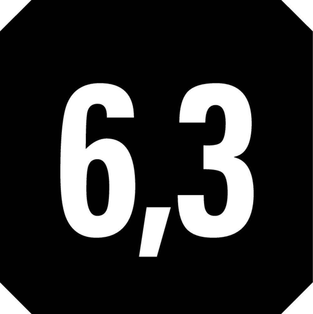 „6,3