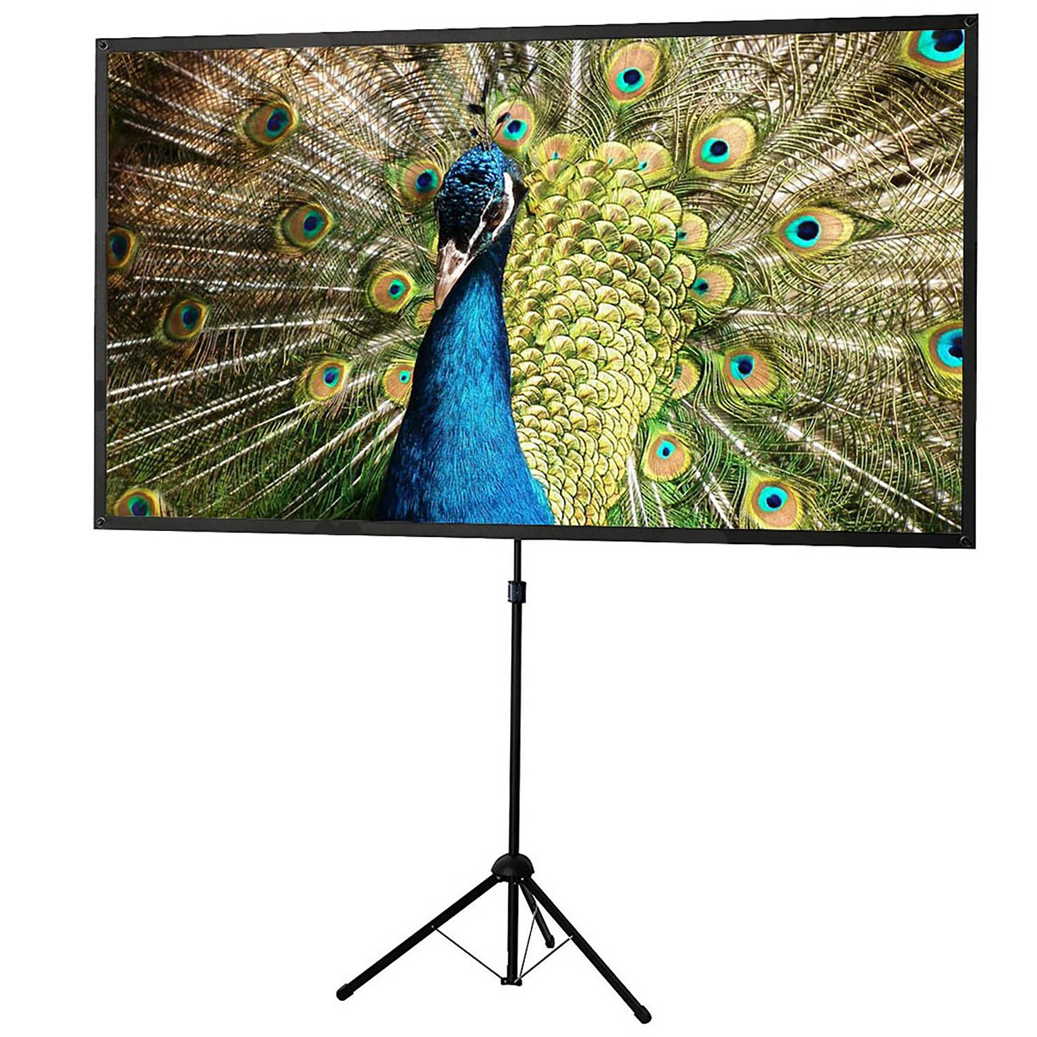 celexon Stativleinwand Ultra-lightweight 194 x 121 cm