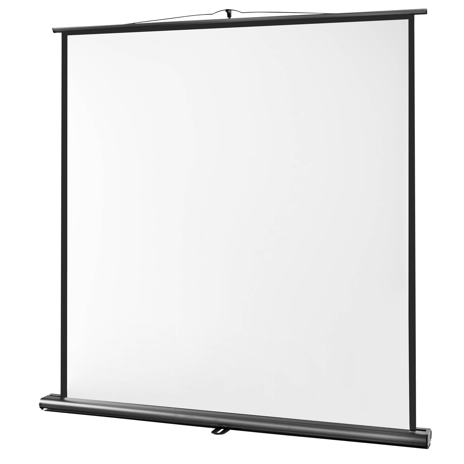 celexon Leinwand Ultramobil Professional 160 x 160 cm