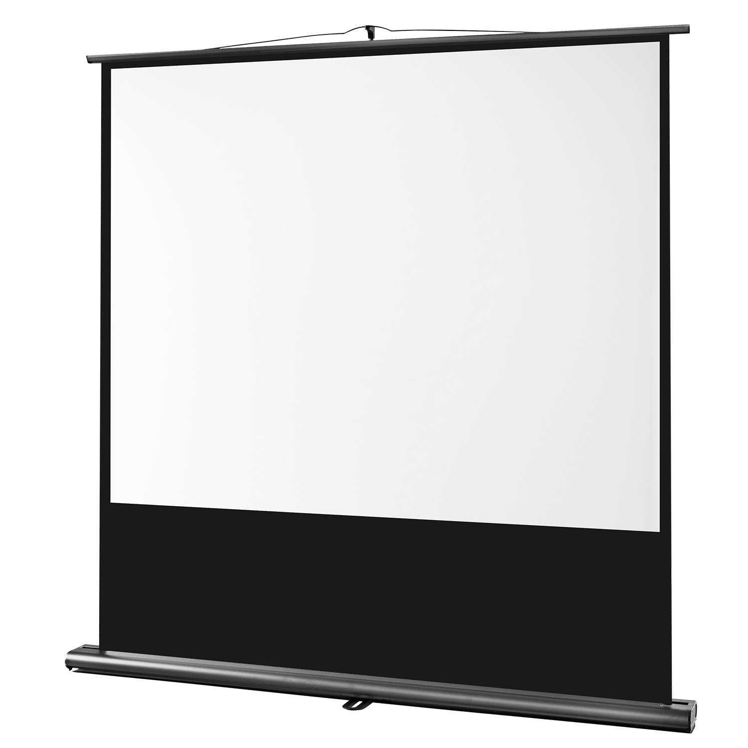 celexon Leinwand Ultramobil Professional 200 x 150 cm