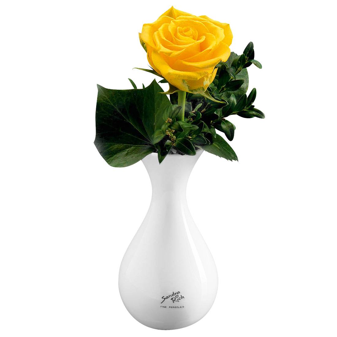 Sandra Rich 53-12 Solo Flaschenvase Ø 6,5 cm, Höhe 13 cm, Porzellan, weiß