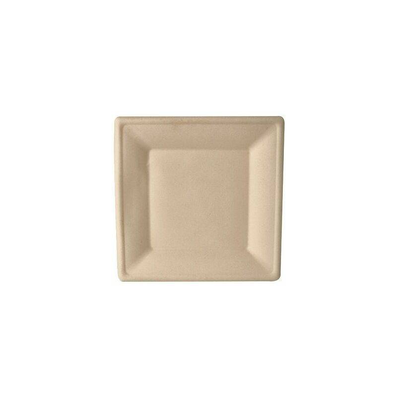 PAPSTAR Zuckerrohr-Teller "pure", eckig, 155 x 155 mm, 50er