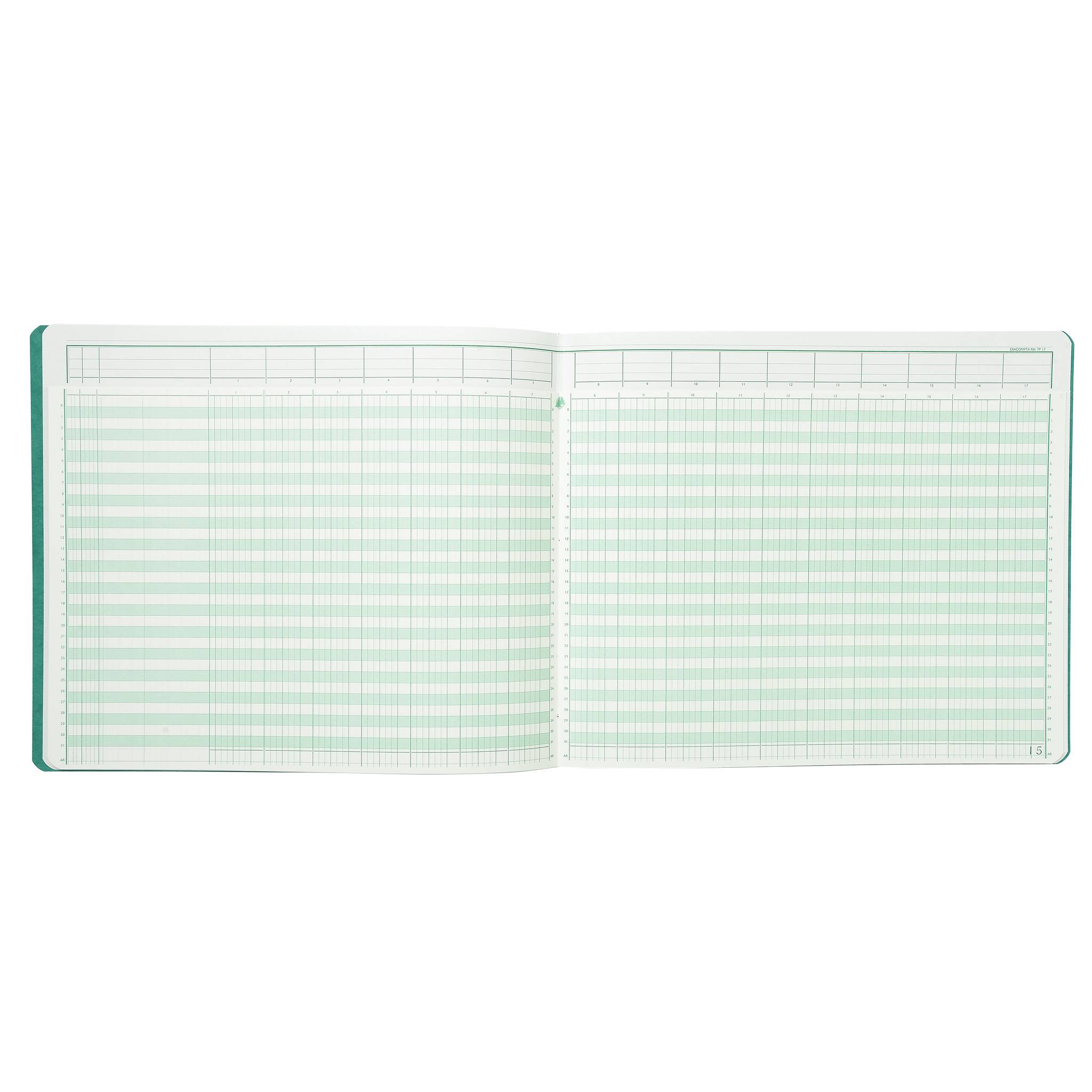 Exacompta Geschaeftsbuch 27x32 80S - 17 Spalten - Farben sortiert - 16170E