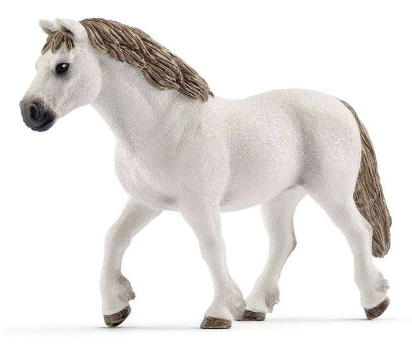 Tier - Welsh-Stute, Pony
