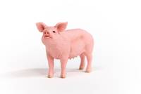 Schleich Farm World Schwein| 13933 - 3 Jahr(e) - Pink