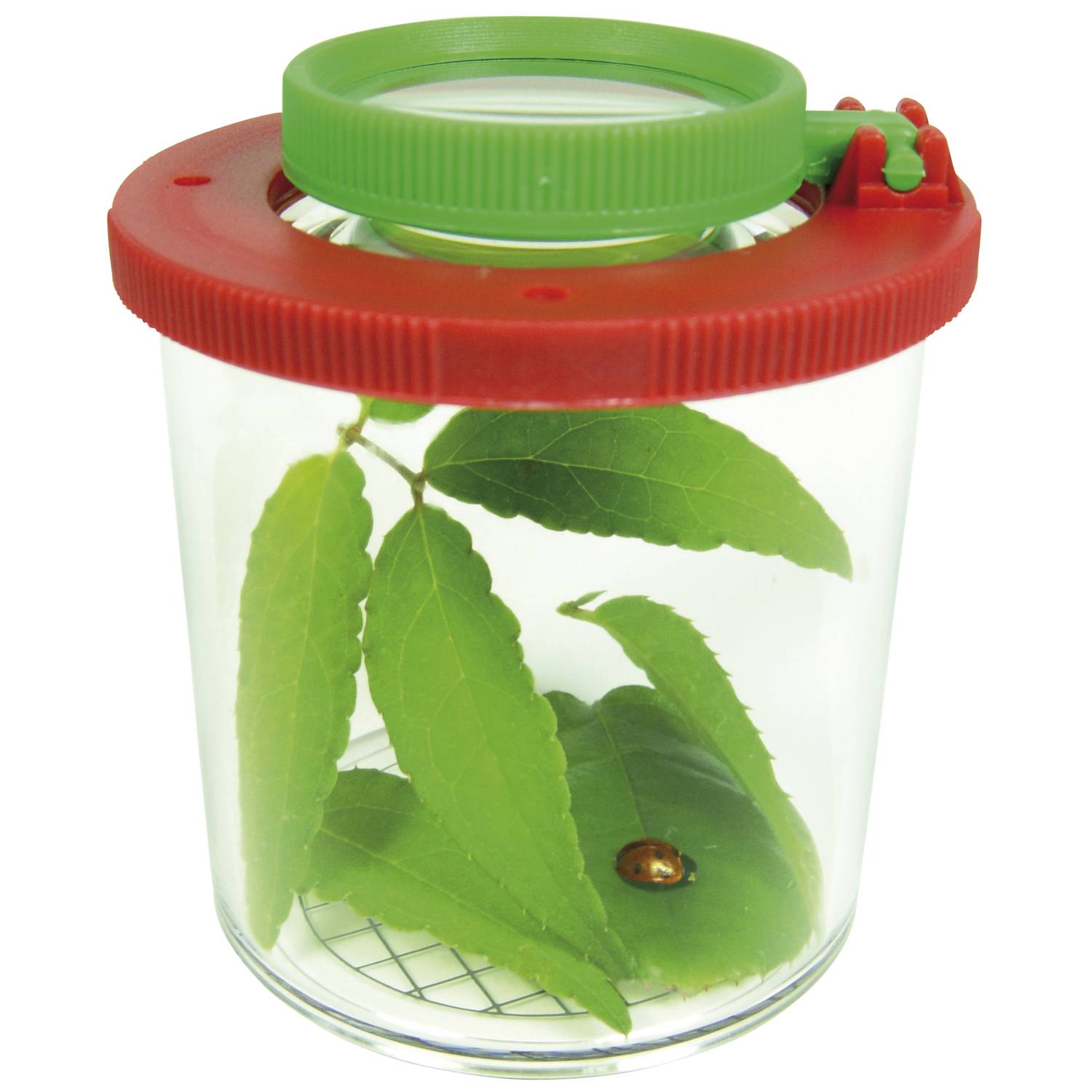 EDUPLAY 150006 Lupendose Ø 6 cm, H 7 cm, mit Plastikspinne, transparent