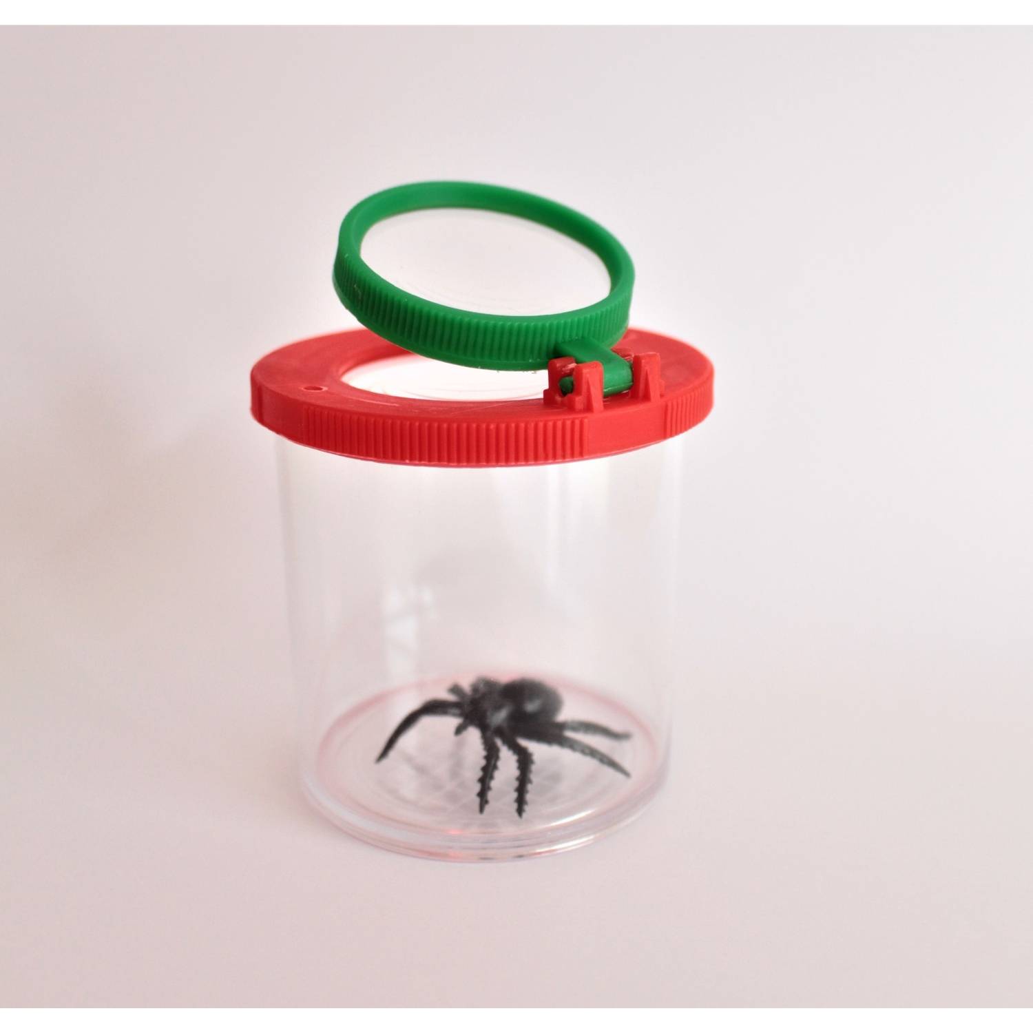 EDUPLAY 150006 Lupendose Ø 6 cm, H 7 cm, mit Plastikspinne, transparent