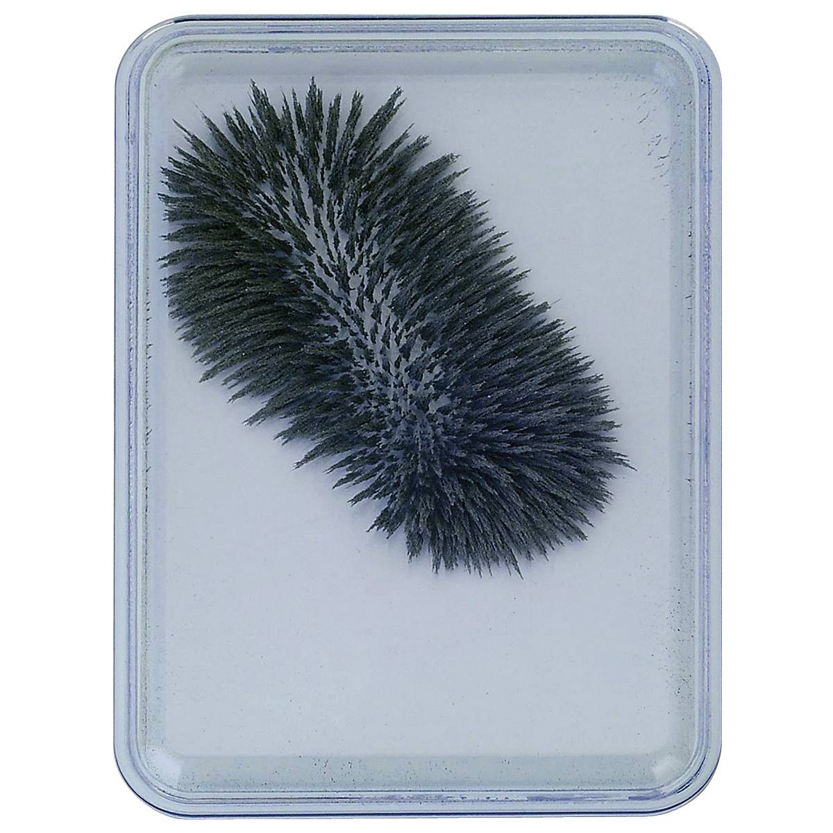 EDUPLAY 120-107 Eisenpulver-Box für Magnetfeld-Experimente, 9 x 6,5 x 1 cm (ohne Magnet), grau