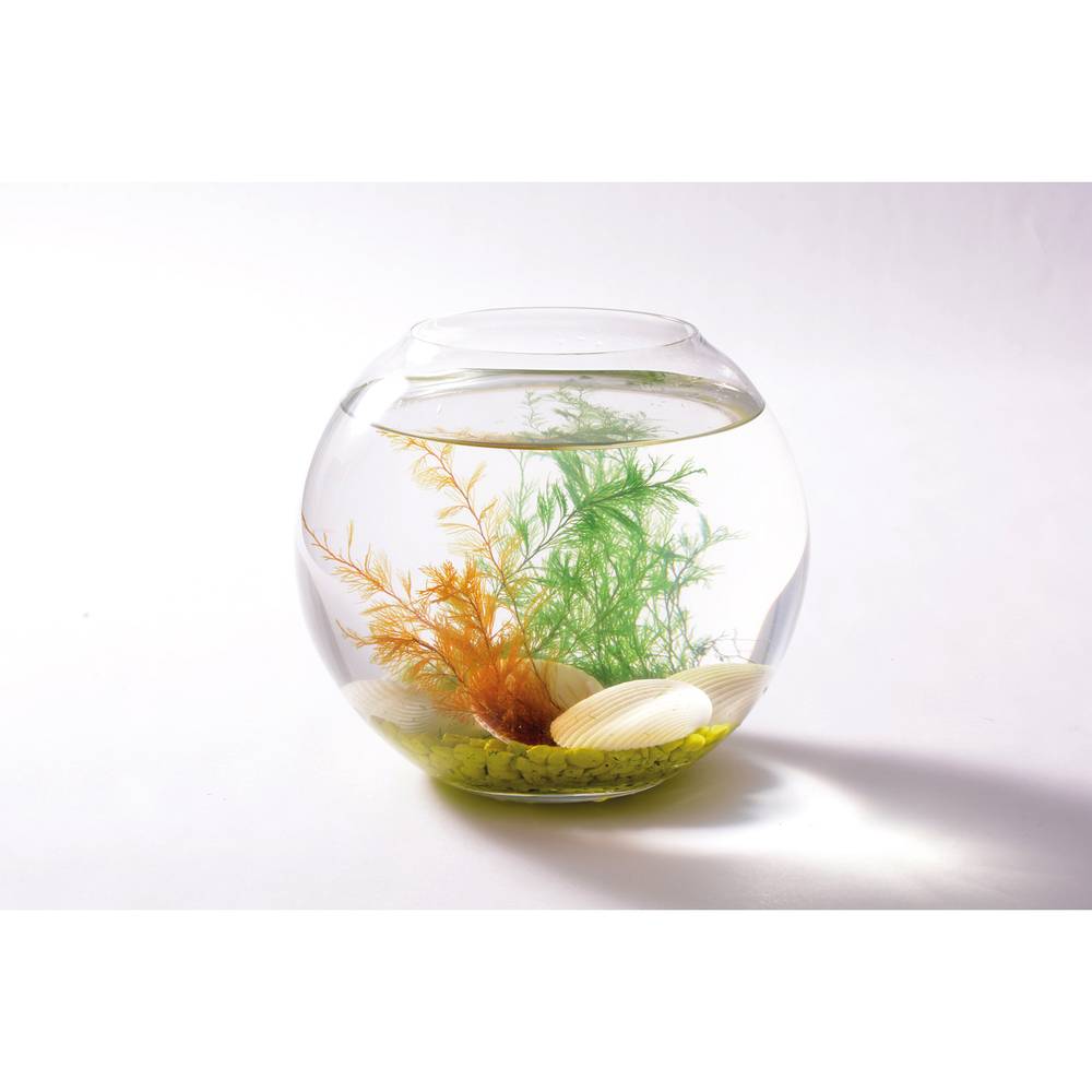 EDUPLAY 130268 Wundermuschel (Farbe zufällig, 1 Stück)