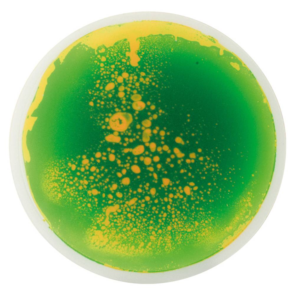 EDUPLAY 110374 Faszinationsmatten, rund, Ø 40 cm, bunt, 5-teilig (1 Set)