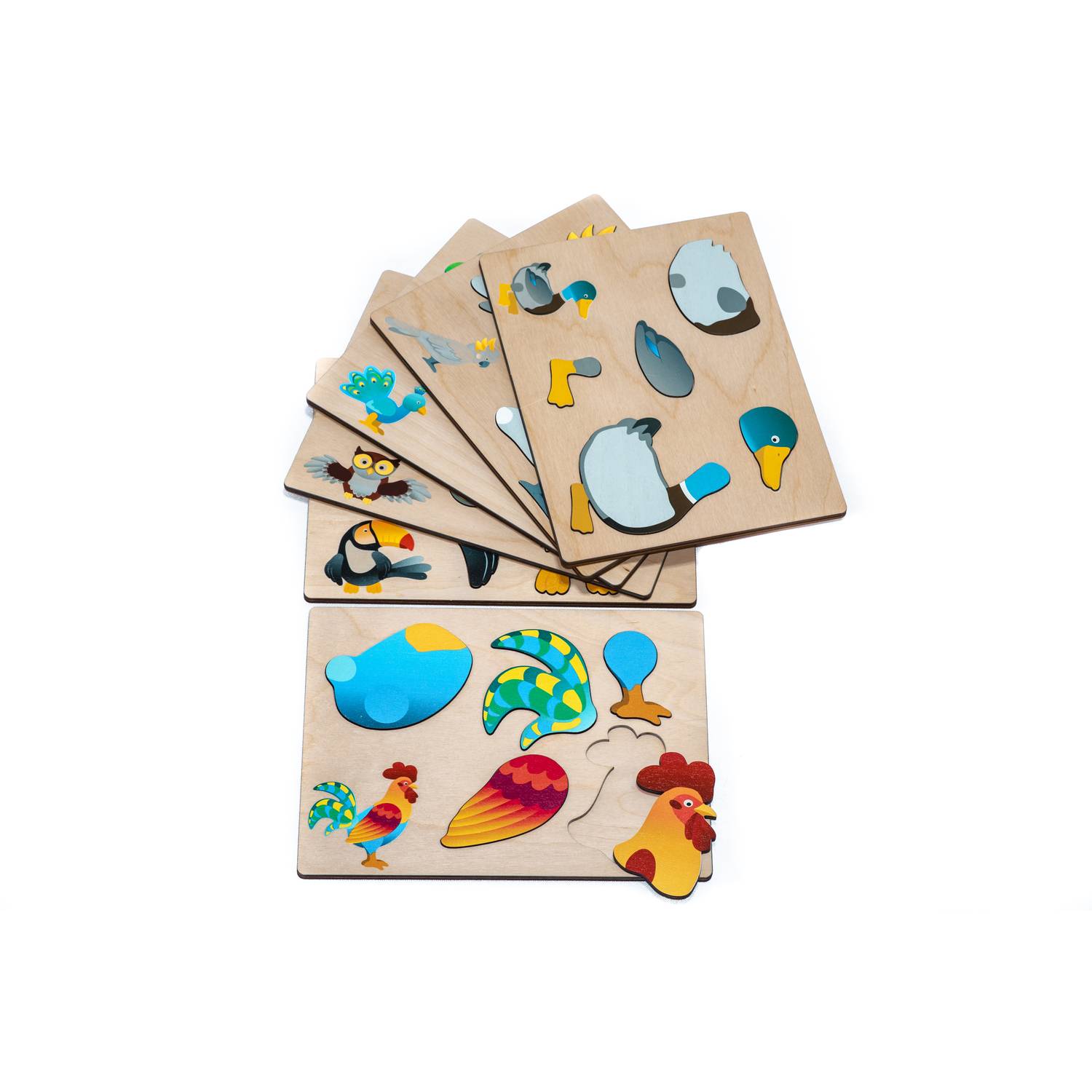 EDUPLAY 120672 Magnetpuzzle Vögel, mehrfarbig