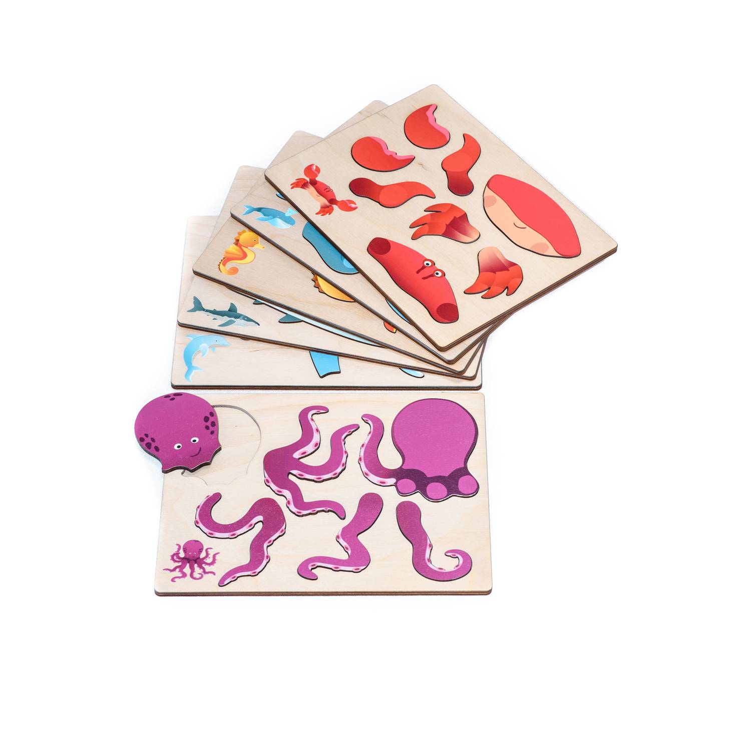 EDUPLAY 120675 Magnetpuzzle Meerestiere, mehrfarbig