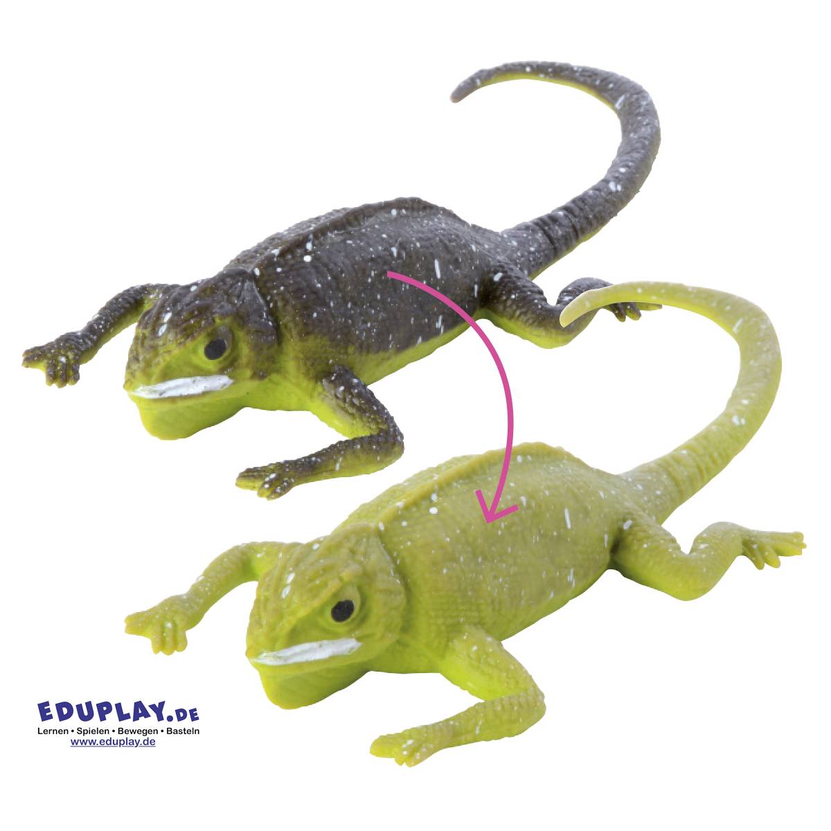 EDUPLAY 130290 Farbwechsel-Echse, mehrfarbig