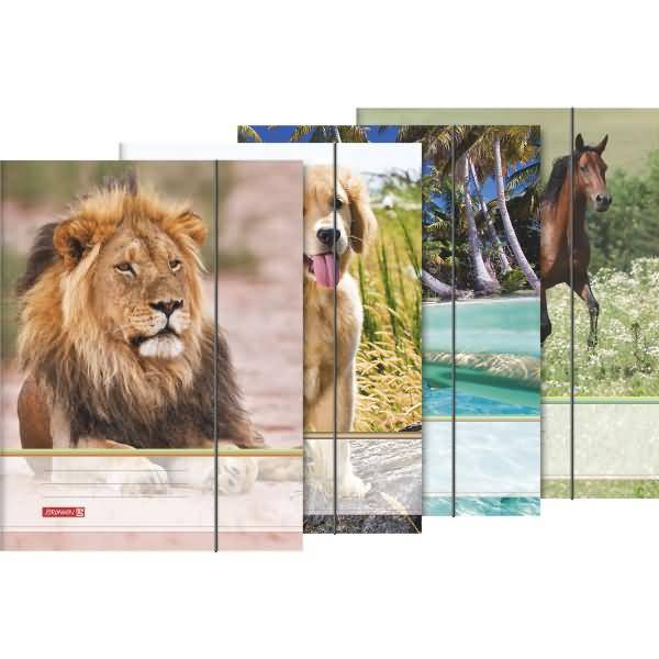 Sammelmappe A4 Karton Tiere