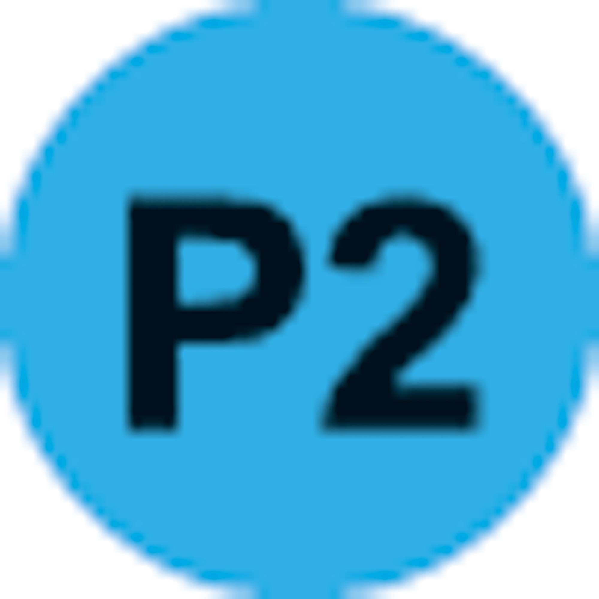 Rexel Aktenvernichter ProMax QS RES823 P2 2104582EU