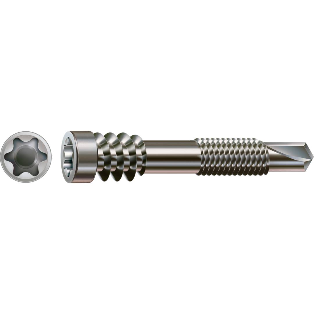 Metall-Torx-Schraube mit passendem sternförmigem Antriebsbit, in Seitenansicht auf schwarzem Hintergrund dargestellt.