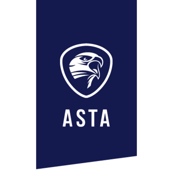 Reifenflege / -reiniger 400 ml E-COLL Reifenflege / -reiniger 400 ml E-COLL