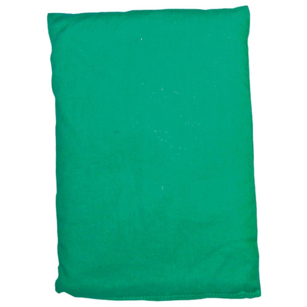 EDUPLAY 170-097 Bohnensäckchen, 20 x 15 cm, grün