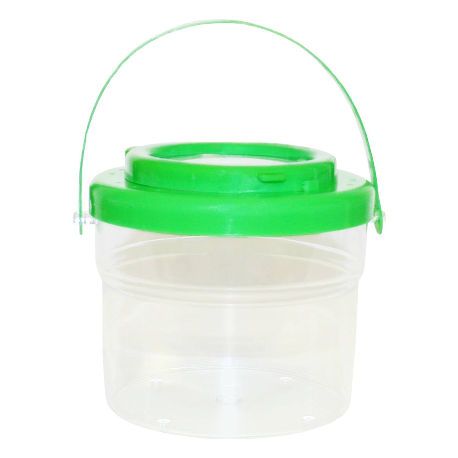 EDUPLAY Insekteneimerchen mit Tragegriff (Farbe zufällig, 1 Stück)