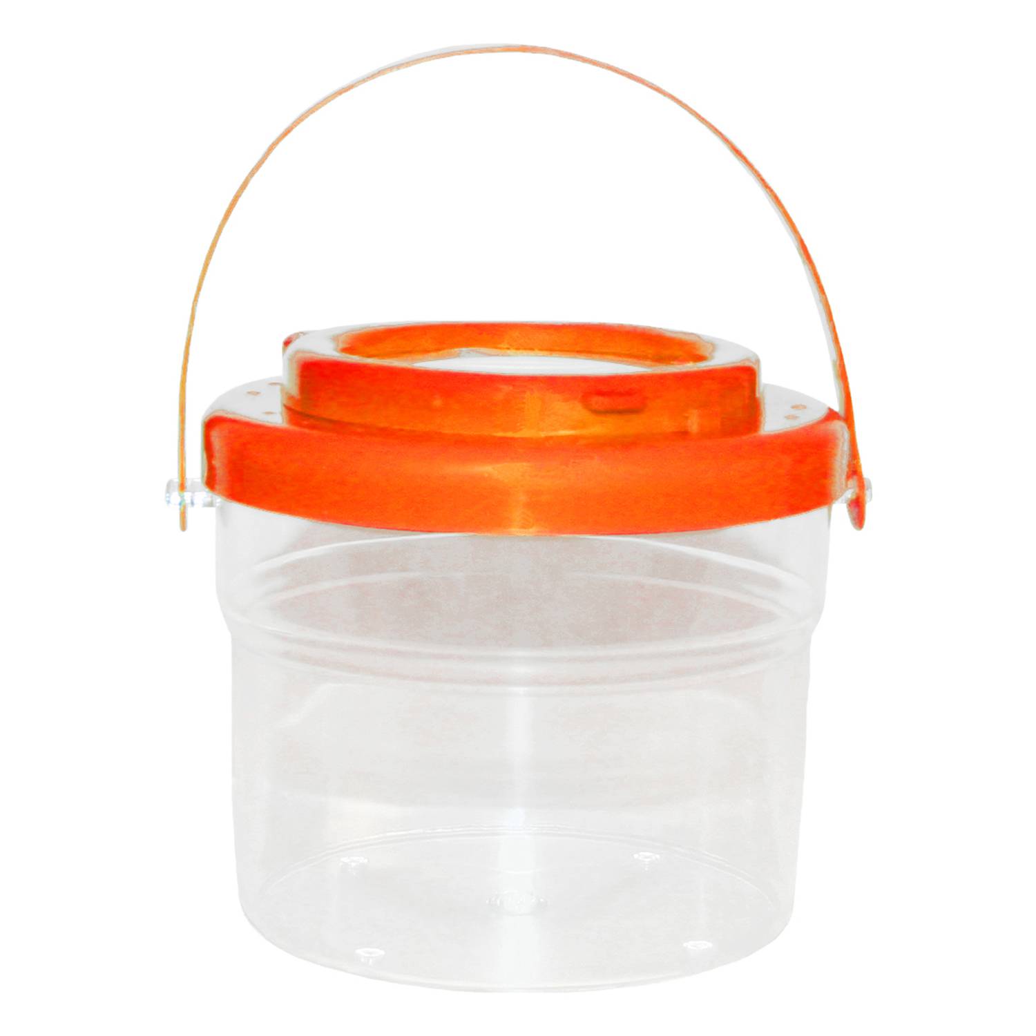 EDUPLAY Insekteneimerchen mit Tragegriff (Farbe zufällig, 1 Stück)