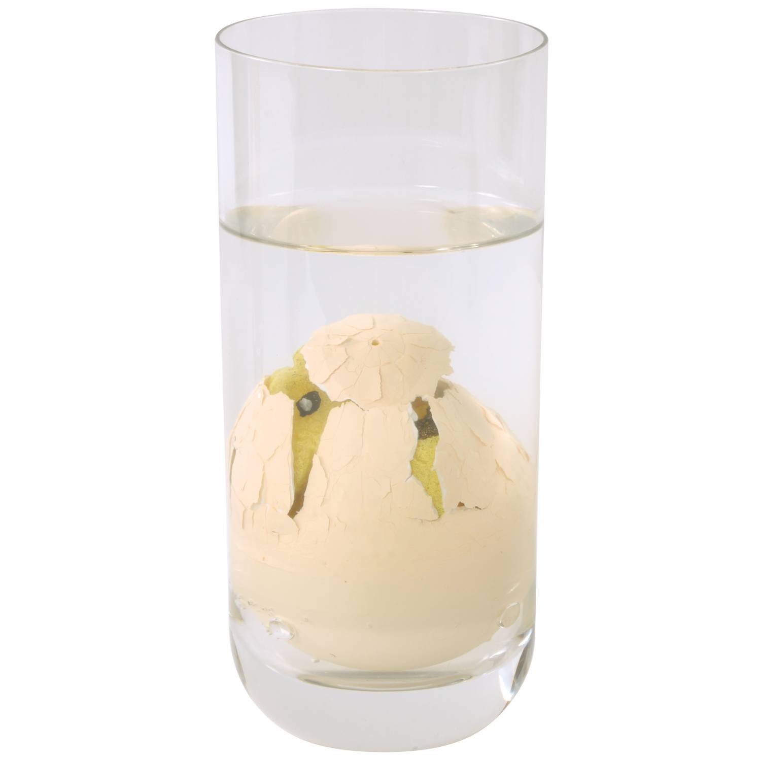 EDUPLAY 130219 Wachsende Eier Dinos (Modell zufällig)