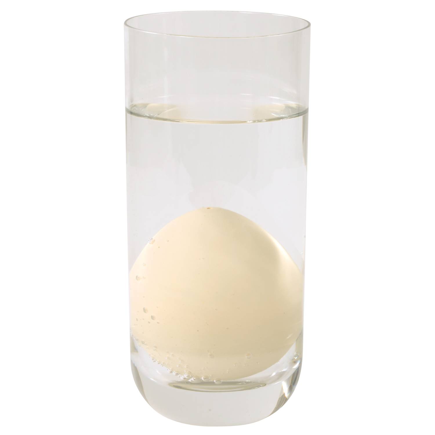 EDUPLAY 130220 Wachsende Eier Meerestiere (Modell zufällig, 1 Stück)