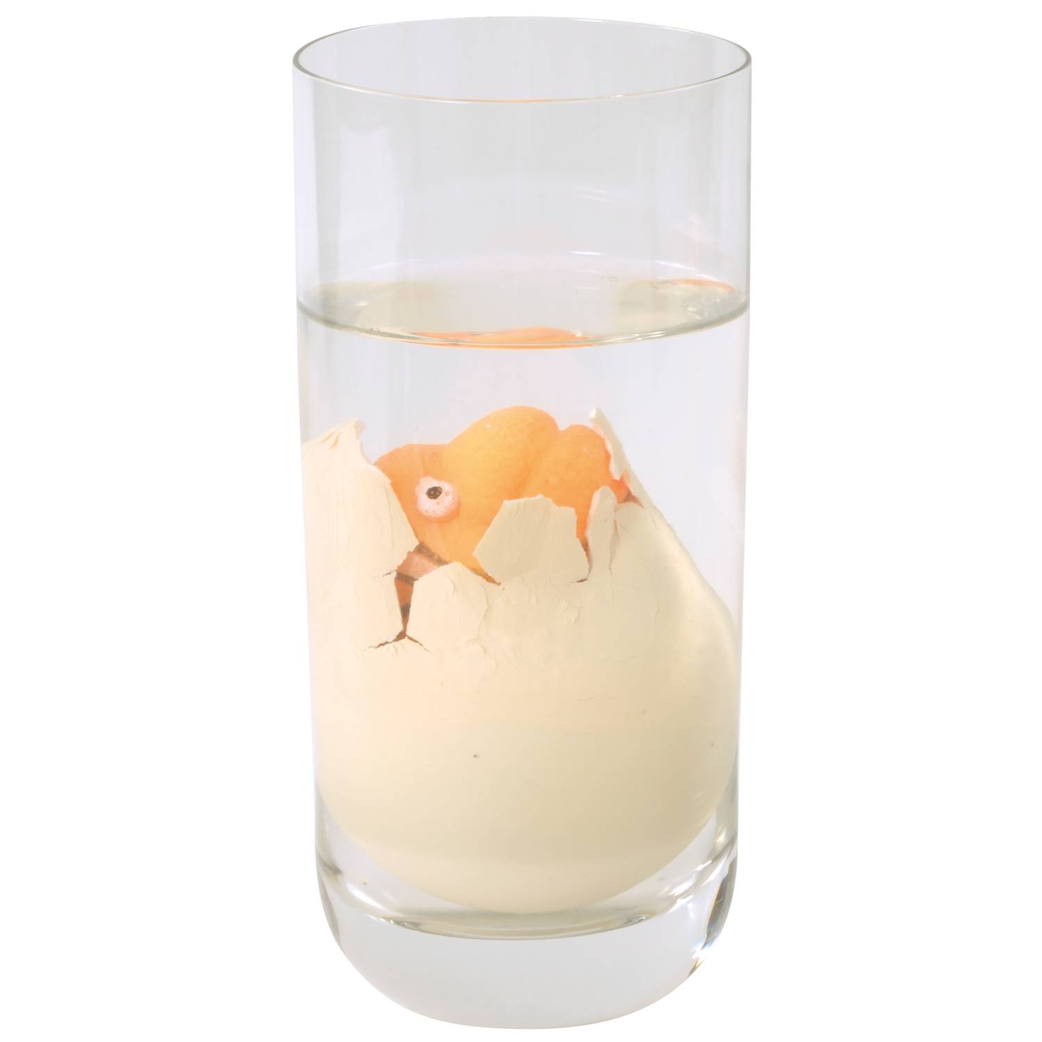 EDUPLAY 130220 Wachsende Eier Meerestiere (Modell zufällig, 1 Stück)