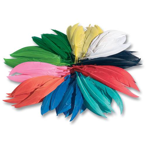 folia 55109 Indianerfedern, ca. 100g, 10-20 cm Größe, bunt, mehrfarbig (100 g im Beutel)
