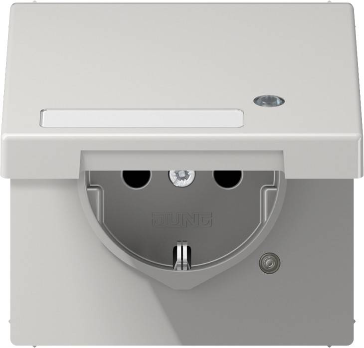 10 Stk. Jung SCHUKO-Steckdose 16A 250V LS 1520 NAKLKO LG