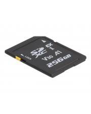 Delock Flash-Speicherkarte - 256 GB - Video Class V30 / UHS-I U3 - SD