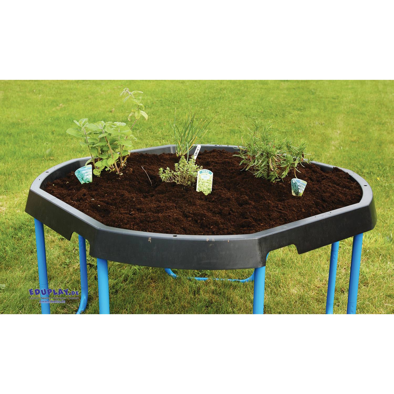 EDUPLAY 160264 Ständer zu Matschwanne, blau